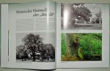 02 Hutewald oder Urwald